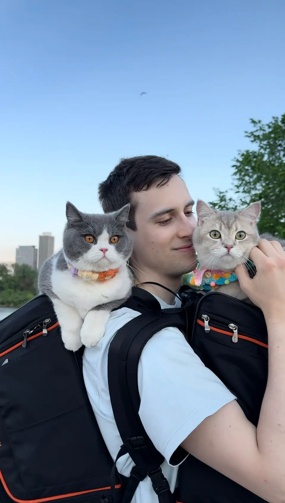 Photo of Lazar J., UGC creator